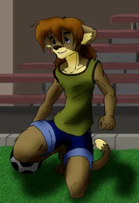 sport cat by Jellofox