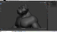 Canine Sculpt