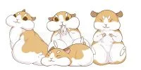 倉鼠 by 瀨礿