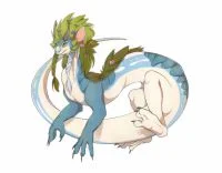 莓果龍