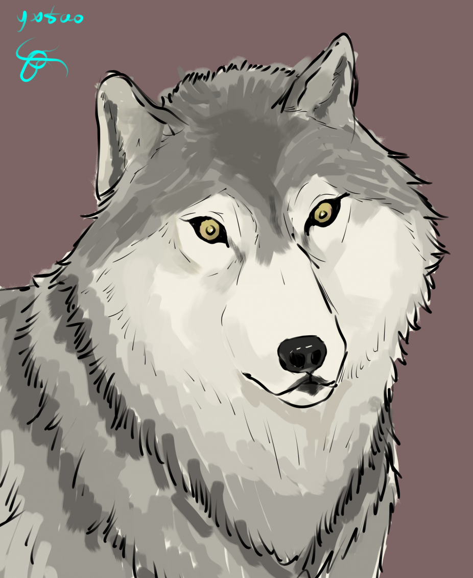 狼狼 by 意克尔斯·桃, 狼, wolf, furry
