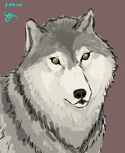 狼狼