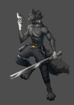 是委托 by 轩狗