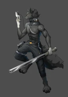 是委托 by 轩狗