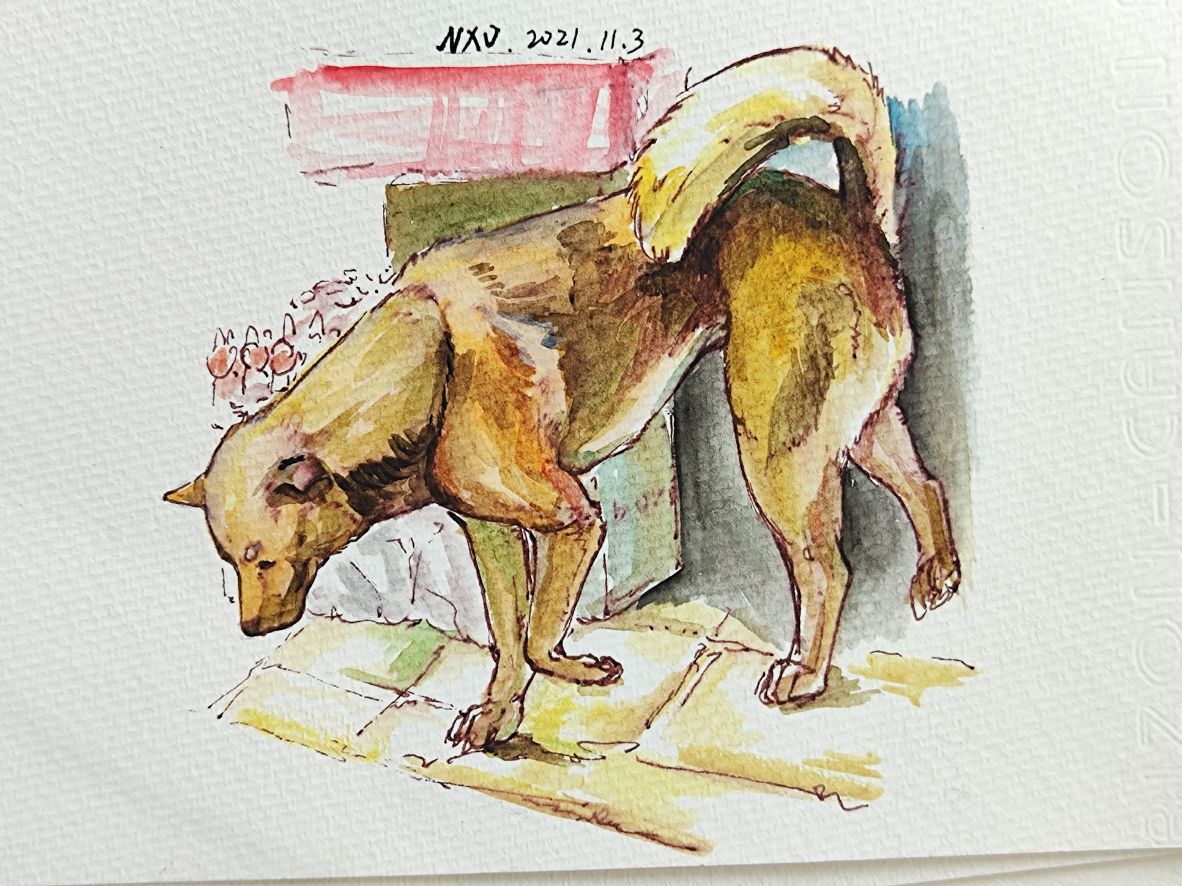 20211103写生——dog by 是逆向需求还是正向需求, 水彩