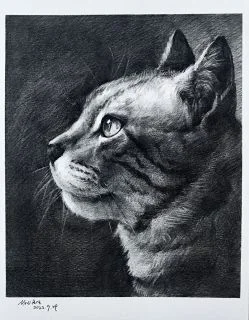 素描猫猫头 by 是逆向需求还是正向需求