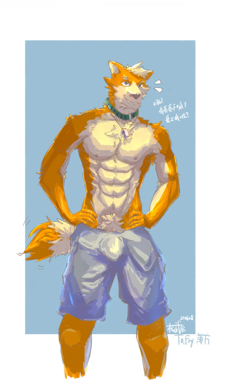小柴犬 by 松武原, furry, 板绘, 赠图, 犬, 筋肉