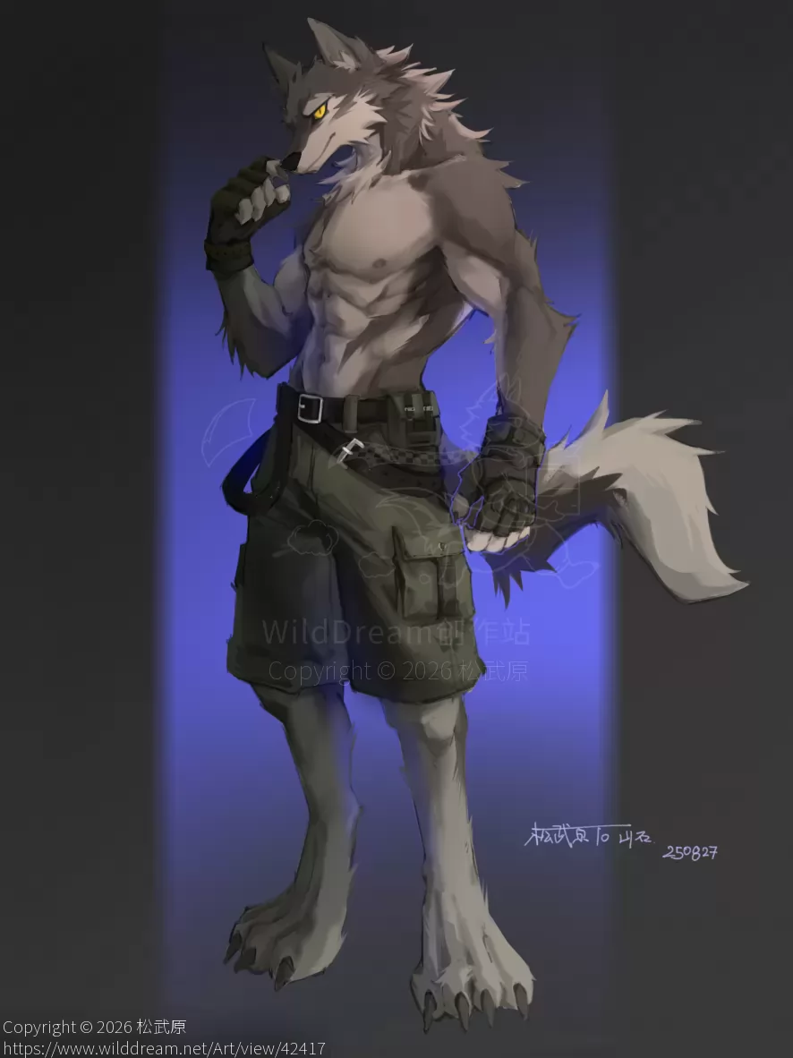 一只 by 松武原, 狼, furry