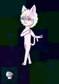 魅惑菇