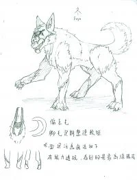 冬