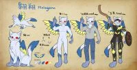 2020設定更新 by 翱翔