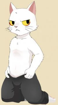 少卿練習