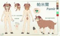 帕米爾設定
