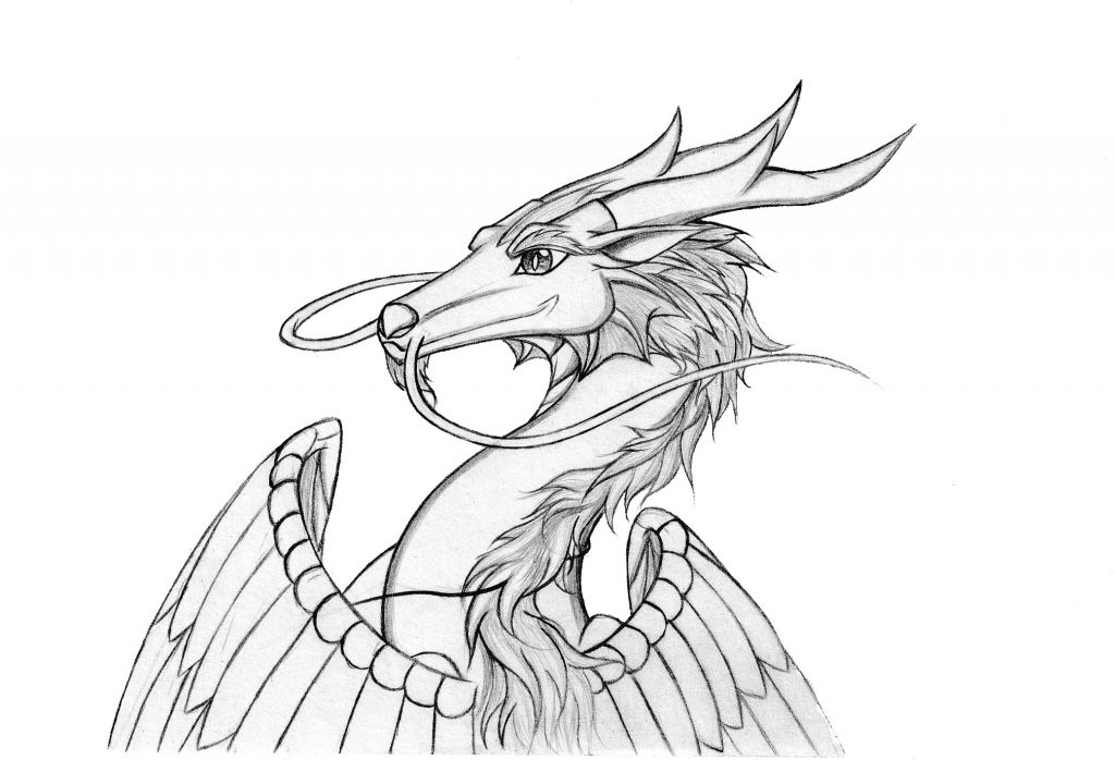 id:955 浏览量:1659         发布时间:2015-11-24 13:36 种族:东方龙