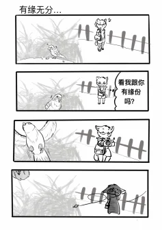 有缘无份