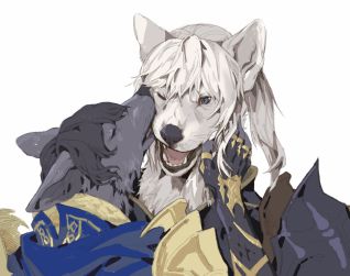 ff14同人