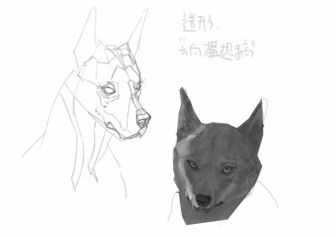 犬科 練習 20210804