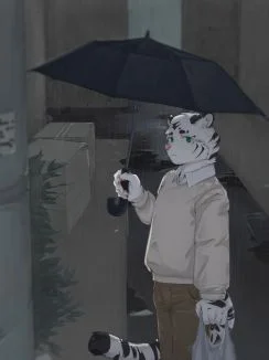 雨