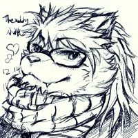 自设 by TheWolfy小狼丶