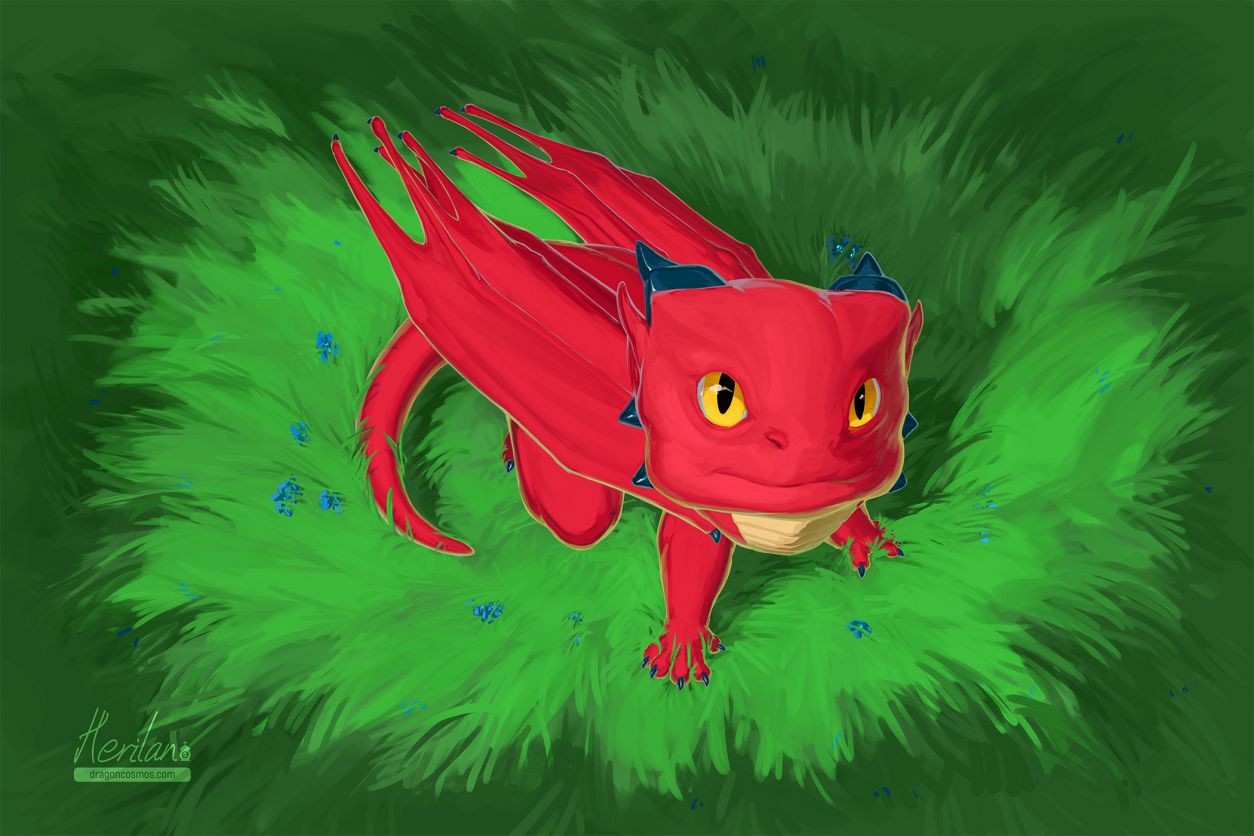 朝 by EricHerilan, 幼崽, 插画, 红色身体, 纯兽, 西方龙