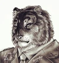 Tiger soldier by BaiAMao