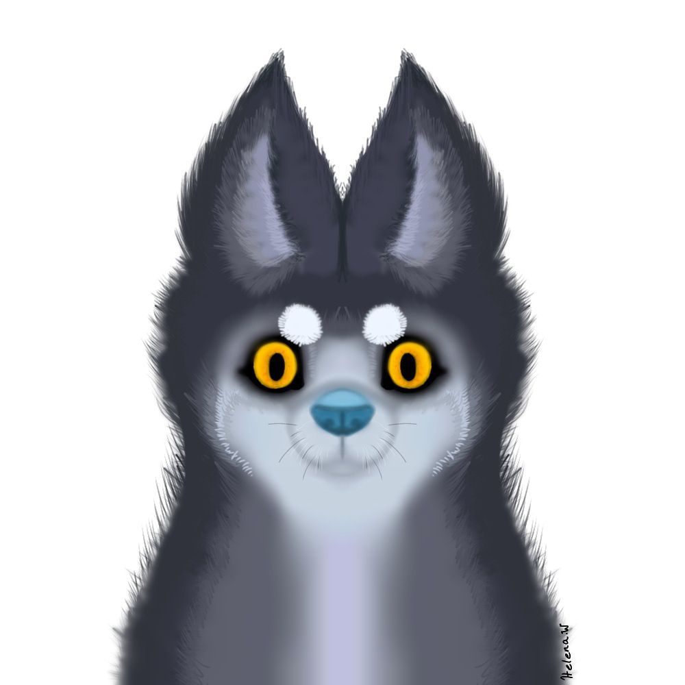 A fluffy wolf by Bluebirddoe, Furry , Wolf, Digital, Art