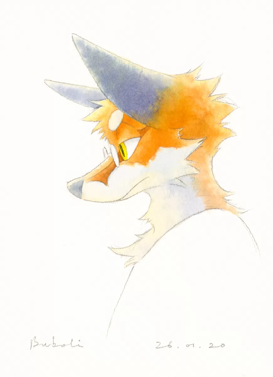 侧颜 by 补玻璃啊