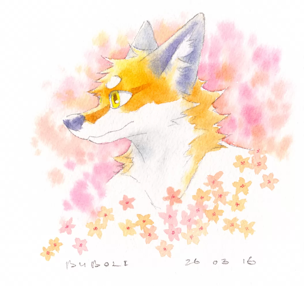春花 by 补玻璃啊