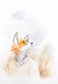 摸鱼赤狐1