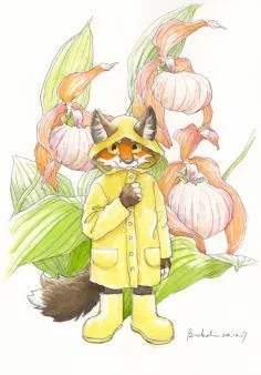 夏天的狐梨 by 补玻璃啊