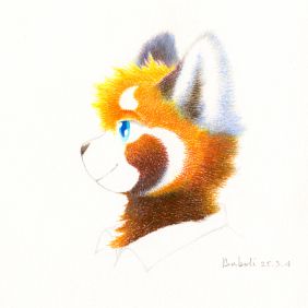 小坏熊猫证件照 by 补玻璃啊