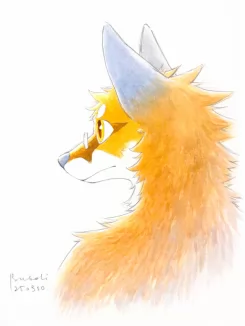 背影