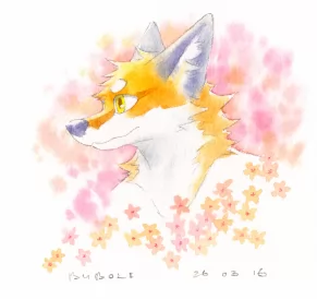 春花