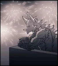 烟花 by 长耳狼