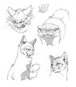 猫猫摸猫猫 by 星语无限