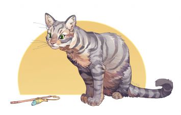 猫 by 星语无限