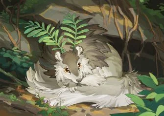 偷看