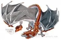 大D by 星语无限
