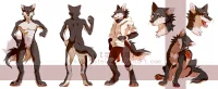 commission9