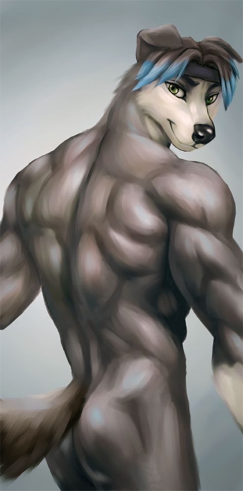 狗背 by 时间猫, 狗, 肌肉