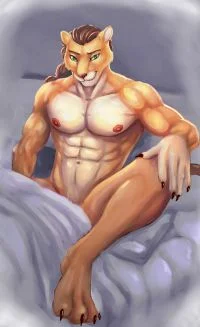 年轻狮 by 时间猫
