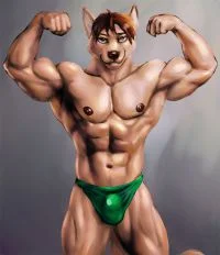 棕色狼