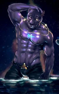 Space traveler