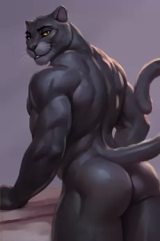 黑豹