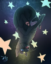 星语生贺