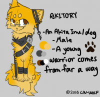 設定介紹－Akitory by LIN-WOLF