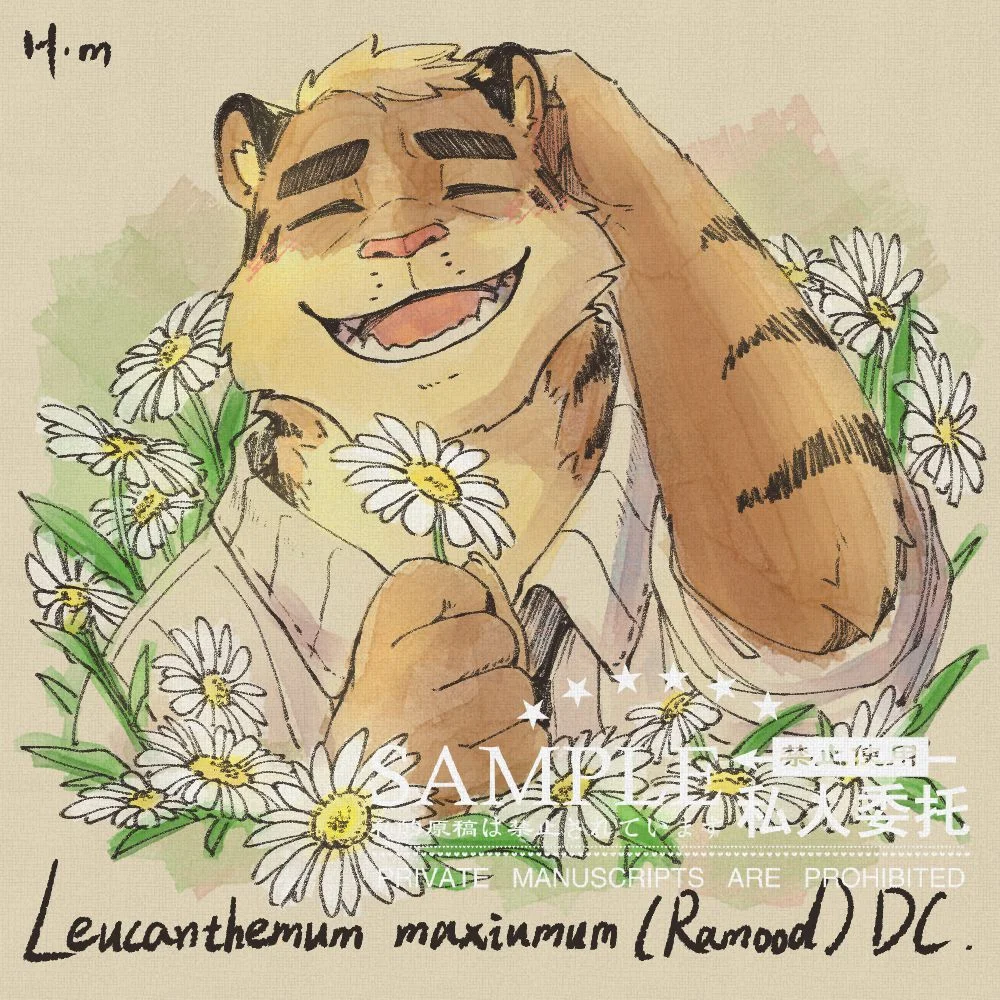 大滨菊 by 黑霉, furry, 头像