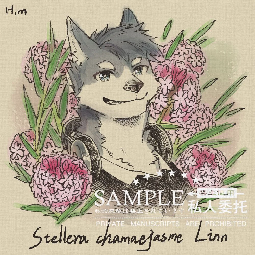 狼毒花 by 黑霉, furry, 头像, 狼