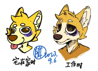 熬夜狗的生活状态