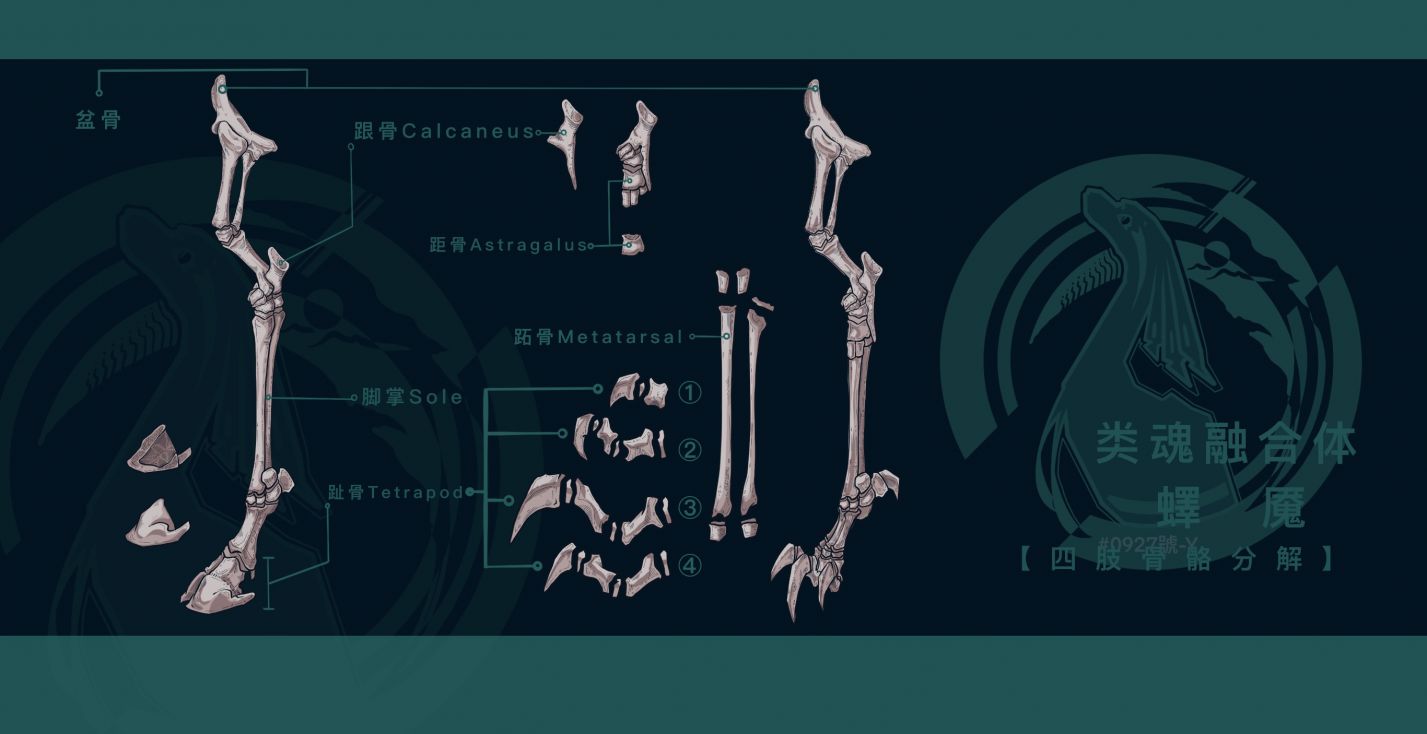类魂融合体-蠌魇（冥角科）「四肢骨骼分解」【研究报告】 by 井0927一Y號生物研究所0002薯, 幻想生物